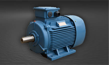 Electric Motors